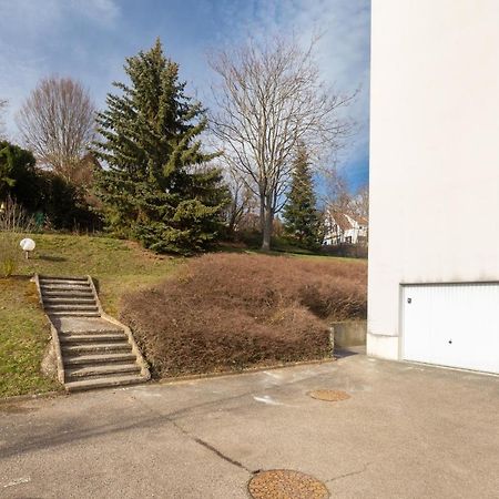 Travel Homes - Le Rebberg, Superbe Vue A Mulhouse Eksteriør bilde