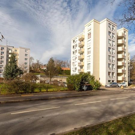Travel Homes - Le Rebberg, Superbe Vue A Mulhouse Eksteriør bilde